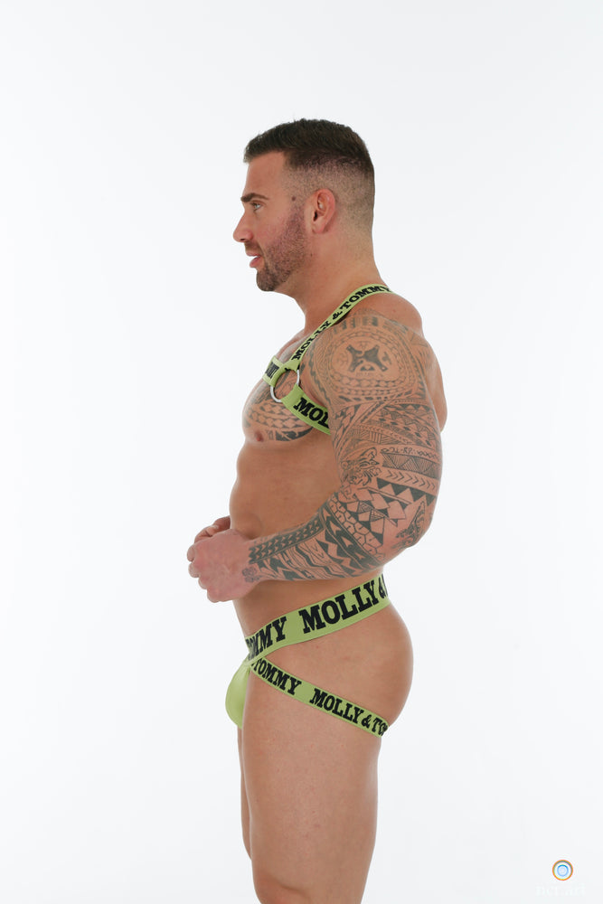 Fabric Harness - Colour Green