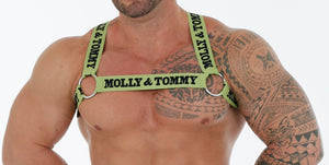 Fabric Harness - Colour Green