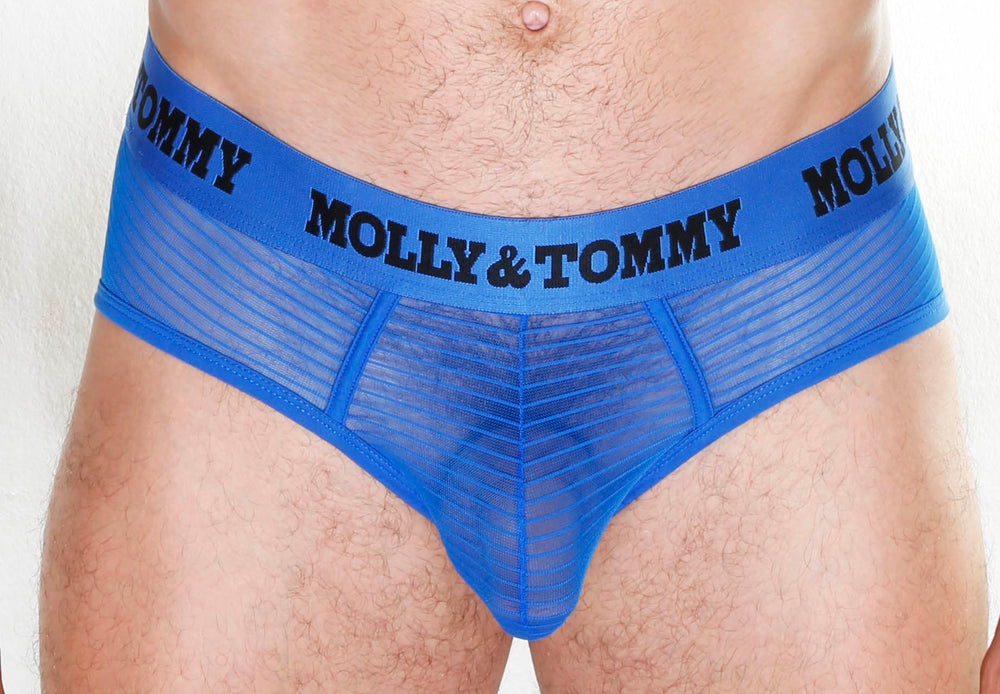 Full Striped Mesh Brief - Colour:  Blue