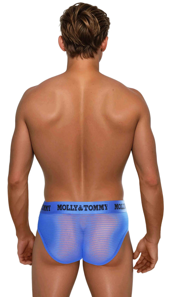 Full Striped Mesh Brief - Colour:  Blue
