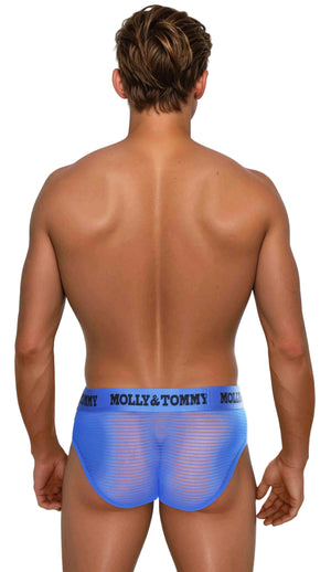 Full Striped Mesh Brief - Colour:  Blue