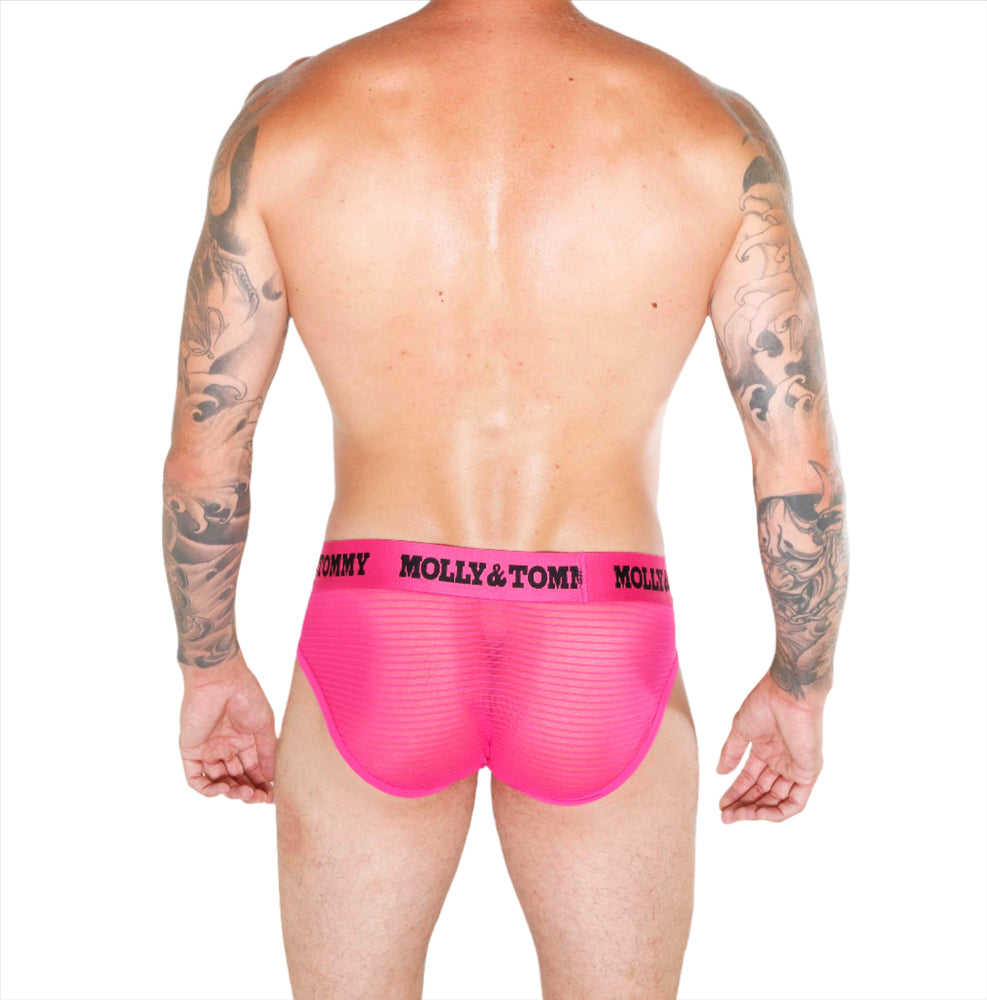 Full Striped Mesh Brief - Colour:  Pink