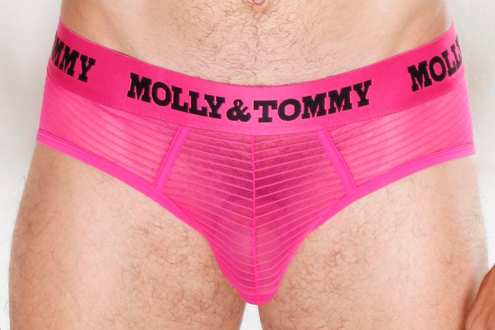 Full Striped Mesh Brief - Colour:  Pink