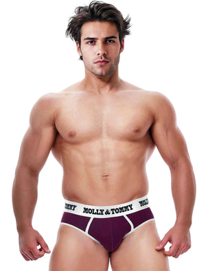Jockstrap Style Brief - Colour Silver Band with Purple Fabric