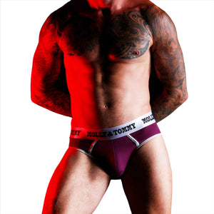 Jockstrap Style Brief - Colour Silver Band with Purple Fabric