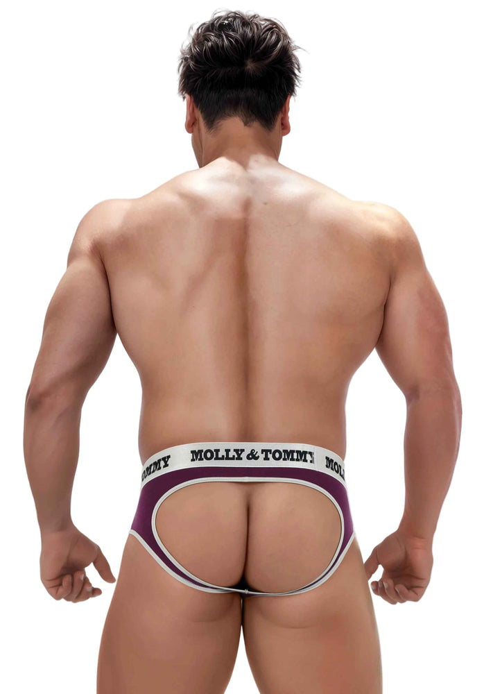 Jockstrap Style Brief - Colour Silver Band with Purple Fabric