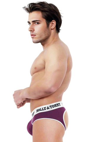 Jockstrap Style Brief - Colour Silver Band with Purple Fabric