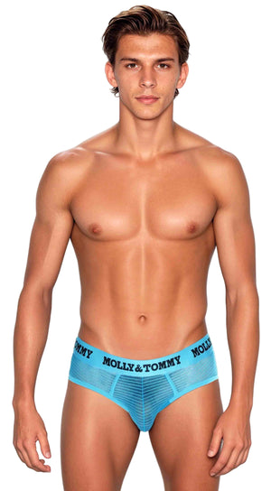 Full Striped Mesh Brief - Colour:  Turquoise