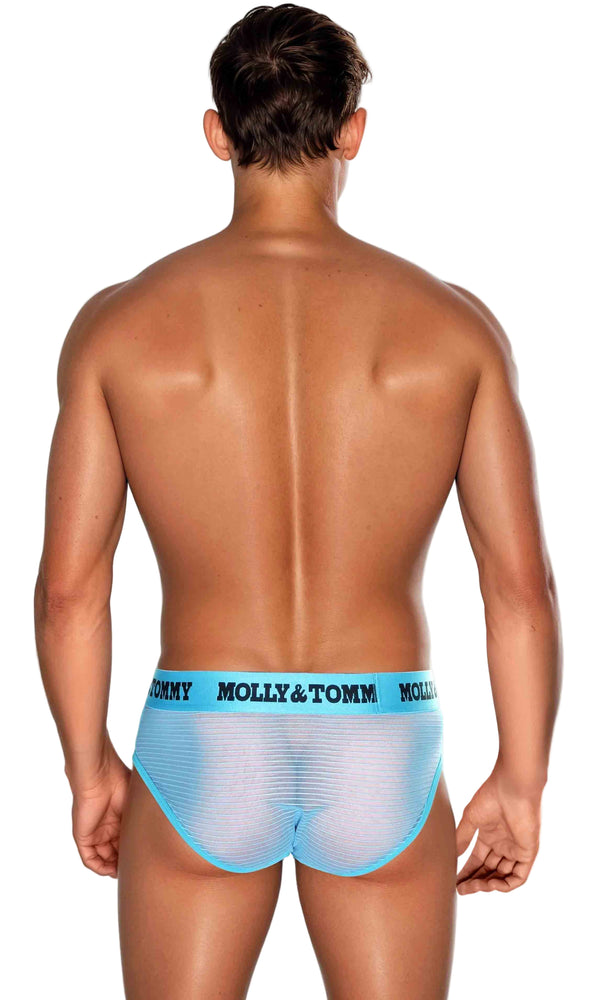 Full Striped Mesh Brief - Colour:  Turquoise