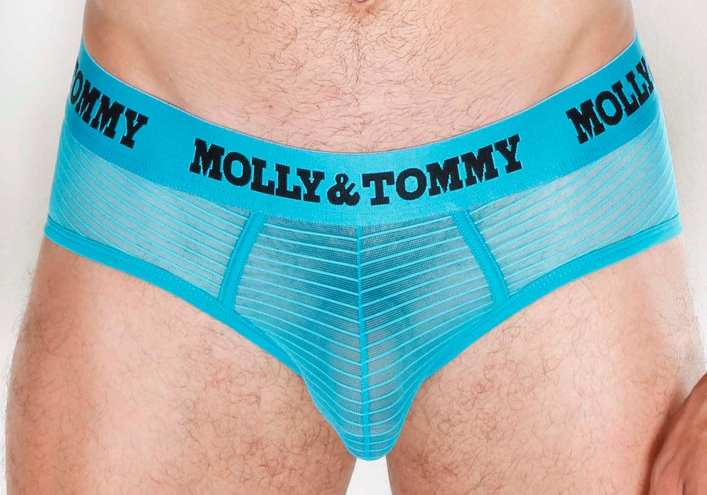 Full Striped Mesh Brief - Colour:  Turquoise